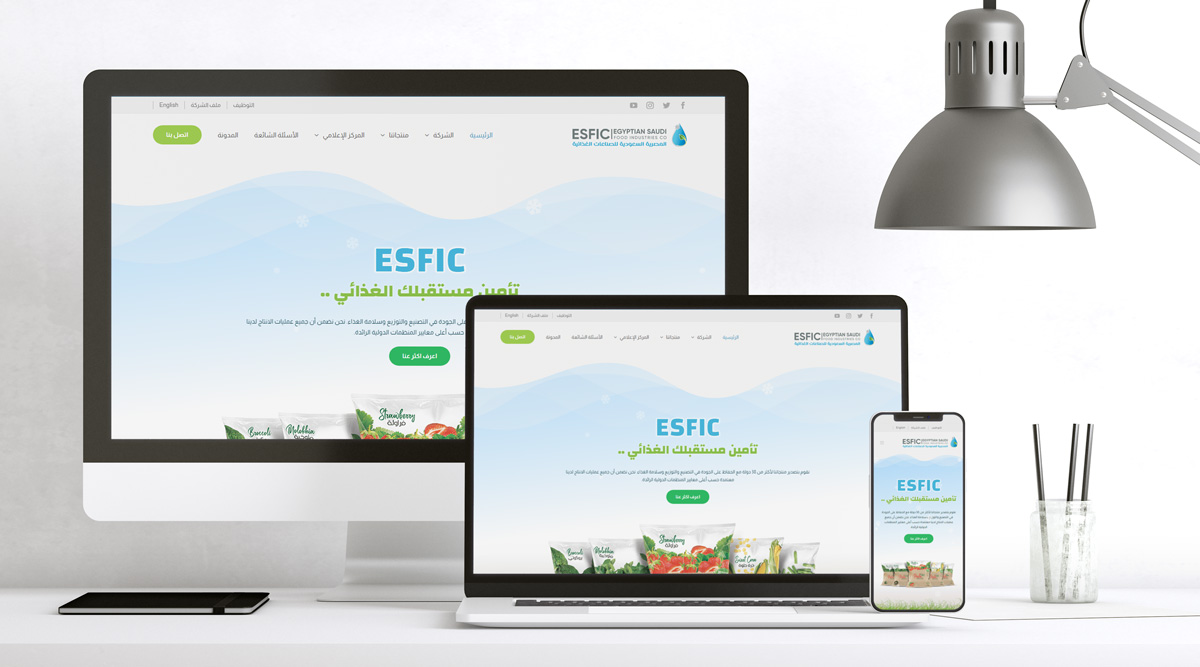 ESFIC website