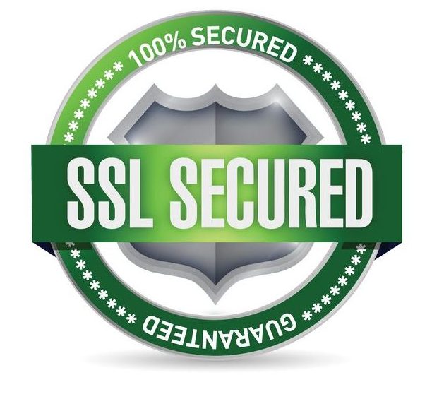 21371833 – ssl secured seal or shield illustration design over white ssl secured